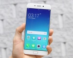 Gần 773 triệu địa chỉ email và hơn 21 triệu mật khẩu đã bị rò rỉ